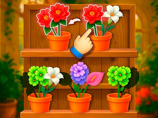 花朵分类