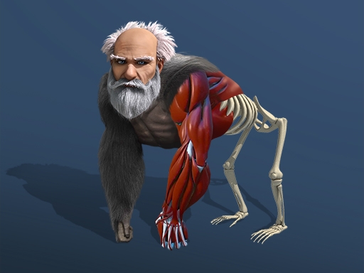 Idle Evolution From Cell to Human