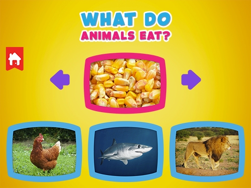 Что едят животные (What do animals eat)